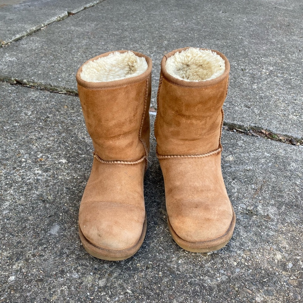 Tan classic short uggs 7